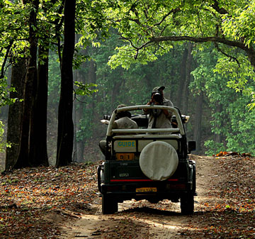 Jeep Safari