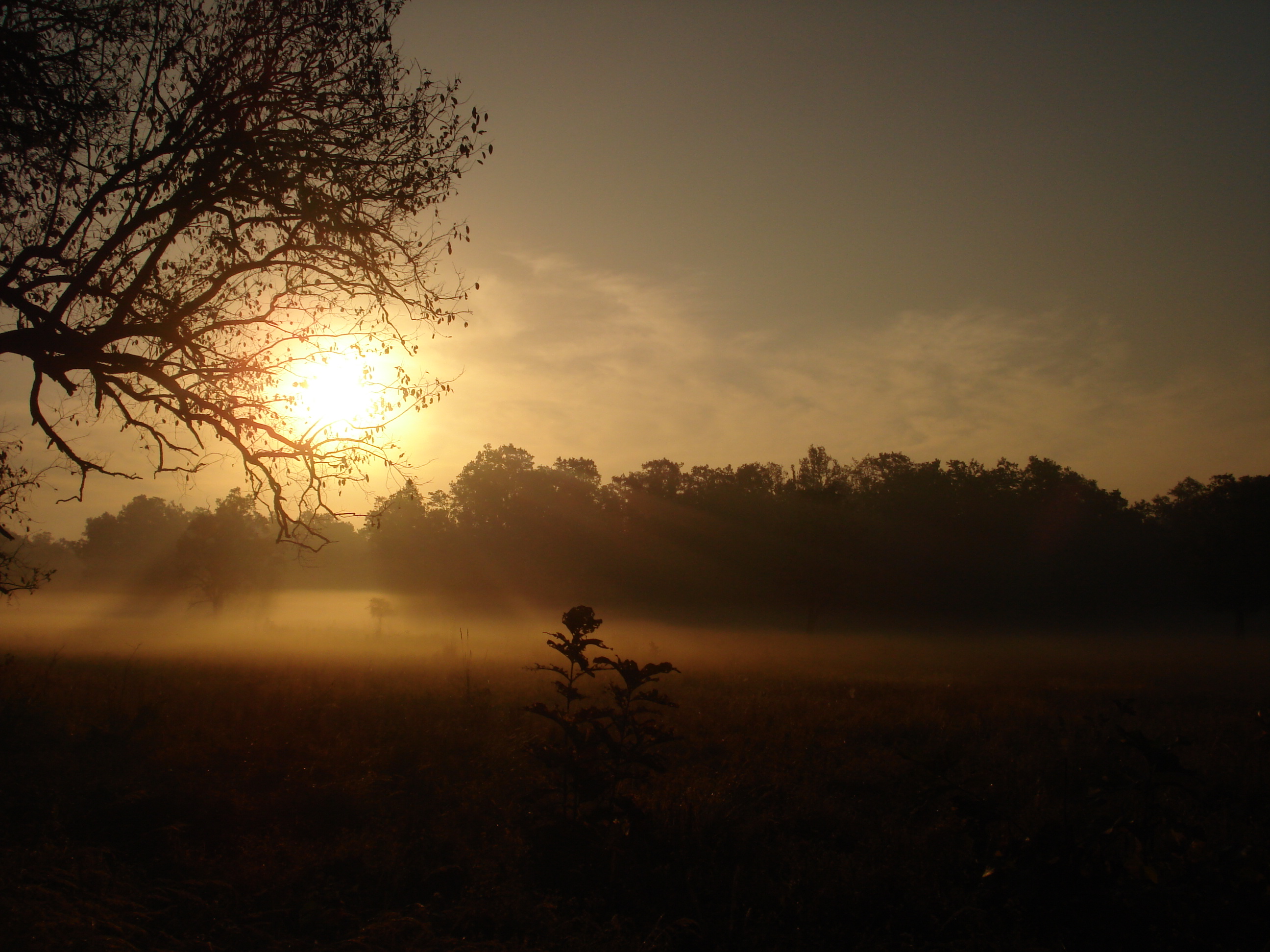 Morning Sun Rise